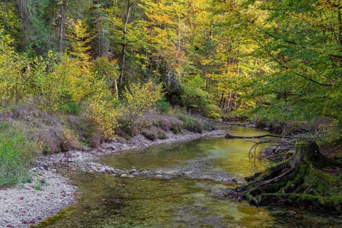 The Toplitz river begins at the western end of the Lake Toplitzsee as its only outflow. Its path
