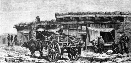 Village life in a small Asian village, Anatolia, ox team, timber transport, wooden houses, street