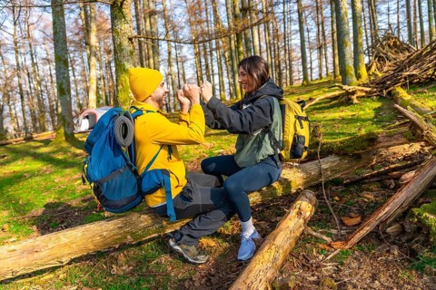 Hikers with backpacks are sitting on a fallen tree trunk in a forest, giving each other a high five
