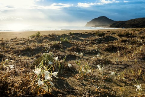 Lonely beach, Spiaggia Feraxi, sunrise, Capo Ferrato, Muravera, Province of Cagliari, Sardinia,