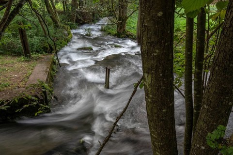Rapids of the Trubach, Trubach Valley, Egloffstein, Upper Franconia, Bavaria, Germany, Europe