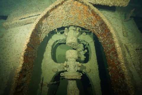 Rusty machine structure of a ship with mussels, quagga triangle mussel (Dreissena rostriformis