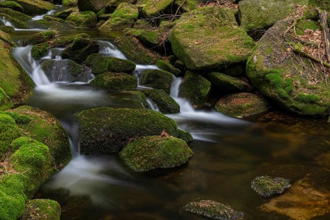 Kleine Ohe creek below Waldhaeuser village in the Bavarian Forest Nationalpark. Flowing water,