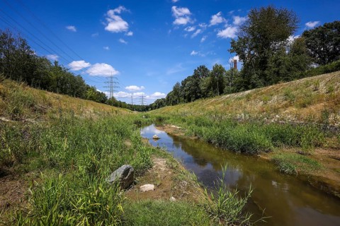 Bottrop, North Rhine-Westphalia, Germany, Renaturalised Boye, the tributary of the Emscher, was