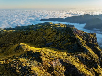 Aerial view at Pico do Arieiro of mountains over clouds with blooming Cytisus shrubs on sunset with