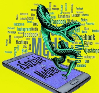 Symbolic image, poisonous snake as (a) Social media, mobile phone, smartphone, socialmedia, Elon
