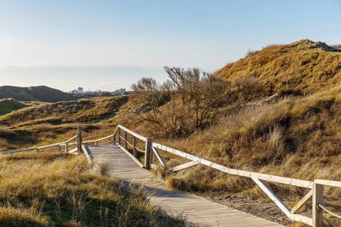 Handicapped-accessible boardwalk to the viewing dune, dune landscape in the national park, the town