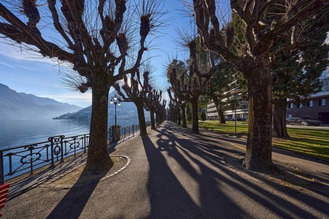 Lakeside promenade, lake, railings, trees, shadow, hill, mist, fog, backlight, blue sky, Lake