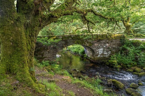 The historic Norsworthy Bridge over the River Meavy, Dartmoor, Devon, England, United Kingdom,