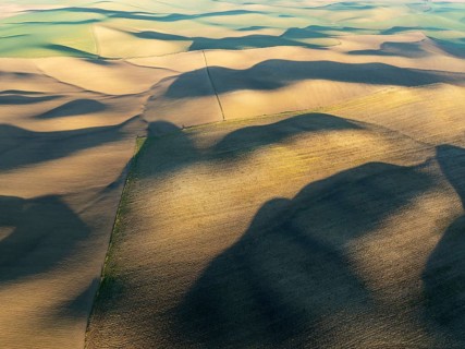 Farmland in the Campiña Cordobesa, the fertile rural area south of the town of Córdoba. Aerial view