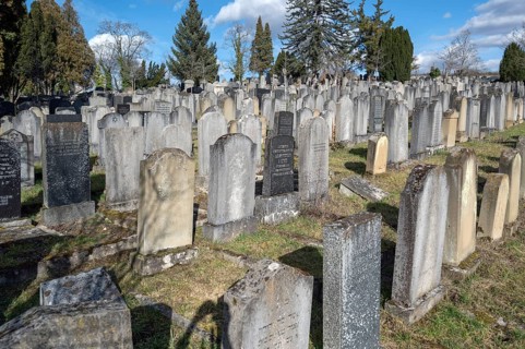 Old graves at the Israeli cemetery, inaugurated in 1882, Werner-von Siemens Str. 2, Würzburg, Lower