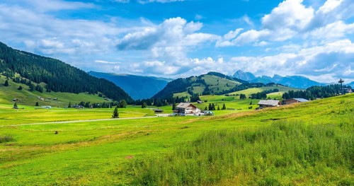Breathtaking summer scenery in alpe di siusi, dolomites, italy, showcasing lush green meadows,