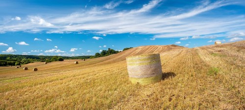 Typical hilly landscape with copses, stubble field with round straw bales, summer landscape under a