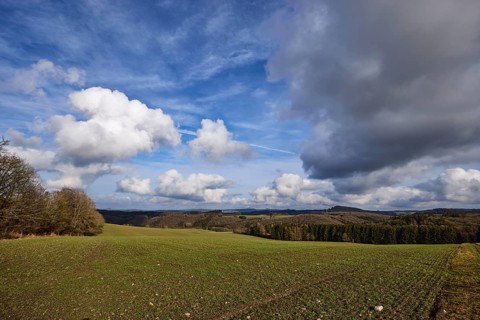 Landscape photography, field, agriculture, coniferous forest, trees, deep blue sky, contrails,