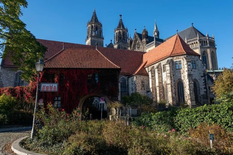 Magdeburg Cathedral with red autumn leaves at the Remtergang, Magdeburg, Saxony-Anhalt, Germany,
