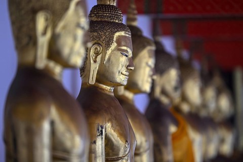 Gilded Buddha statues in Wat Pho, Temple of the Reclining Buddha, Bangkok, Thailand, Asia