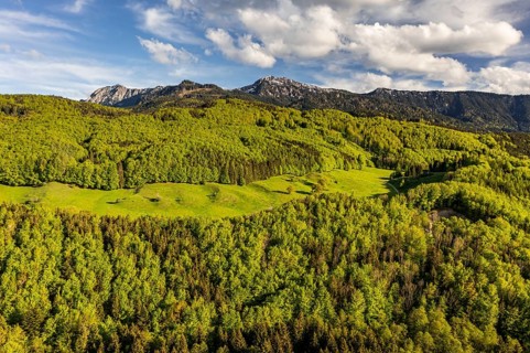 Aerial view of a mountain forest in front of mountains in spring, sunny, Ohlstadt, view of