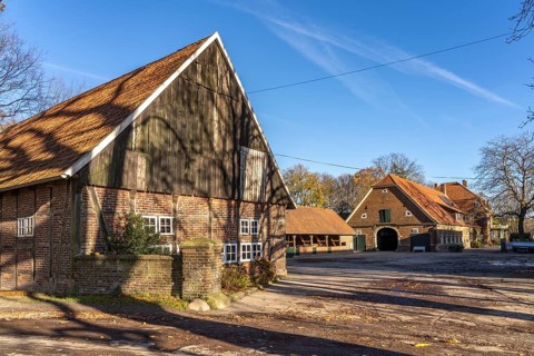 Ponyhof Schleithoff farm, Havixbeck, Münsterland, North Rhine-Westphalia, Germany, Europe