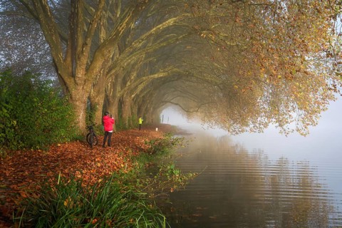 Essen, North Rhine-Westphalia, Germany, Golden autumn at Lake Baldeney. Cyclists and joggers in the