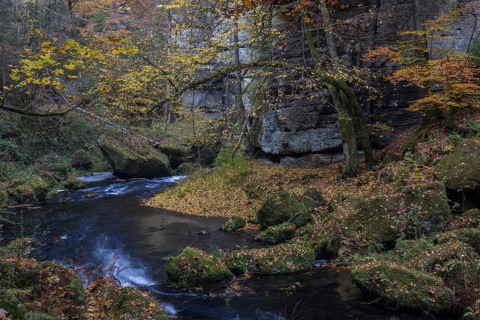 Flowing water with ferns and rocks in the Edmunds Gorge in autumn. River Kamnitz, Hrensko, Ustecky