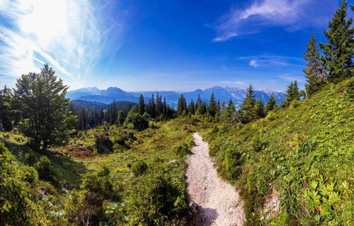 Wanderweg durch einen Gebirgswald zum Gipfel des Taborberg mit Blick zum Tennengebirge und