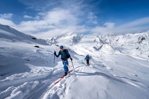 Ski tourers in a snow-covered mountain landscape, mountain peak Monte Cevedale and glacier