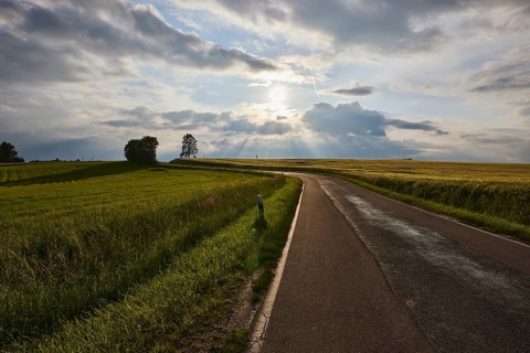 Crop field, trees, backlight of the sun, blue sky, cumulus clouds, nimbostratus clouds, country