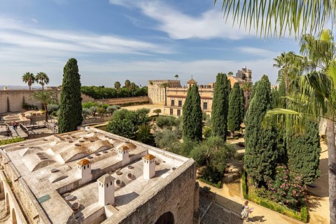 View of a green garden with historic buildings and palm trees, Jerez