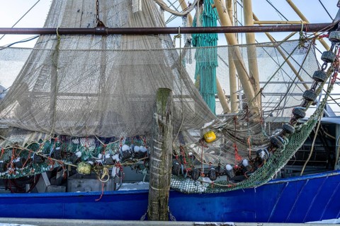 The fishing village of Greetsiel, historic fishing harbour, with the largest shrimp cutter fleet in
