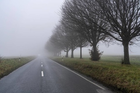 Dense fog, with visibility sometimes less than 100 metres, country road, Schuirweg, in Essen, North