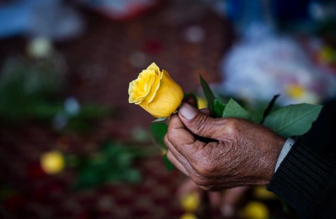 A person holds a yellow rose in a street flower shop, on the occasion of Valentines day on February