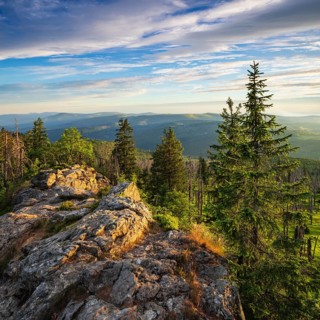 View from the summit of the Großer Rachel, morning light, Bavarian Forest National Park, Bavaria,