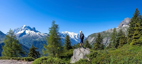 Mountaineer standing on rocks, mountain panorama with glaciated mountain peaks, Aiguille Verte with