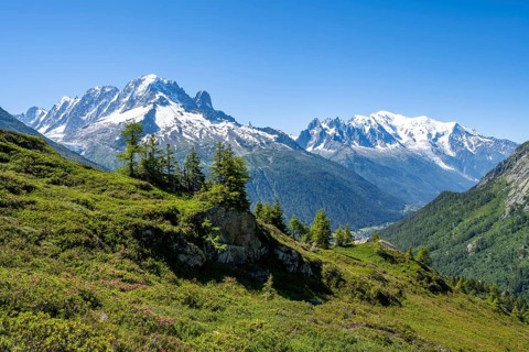 Mountain panorama with glaciated mountain peaks, Aiguille Verte with Aiguille du Midi and Mont