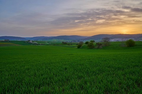 Green meadow in hilly landscape at sunrise with soft clouds in the sky, Mönchberg, Mltenberg,