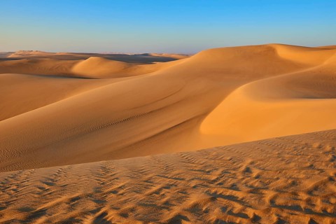 Endless sand dunes under a clear blue sky, glowing in golden sunlight, Matruh, Great Sand Sea,