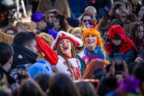 The Frankfurt carnival parade crosses the Römerberg in Frankfurt am Main, Römerberg, Frankfurt am