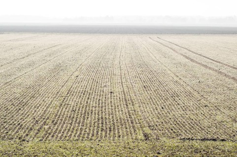 Early Morning ladscape of fields with frost, Wörth an der Donau, Regensburg, Upper Palatinate,