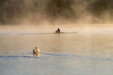 Sunrise, autumn atmosphere at Lake Baldeney, near Haus Scheppen, in Essen, rower, swan, North