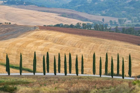 Typical Tuscan landscape in Crete Senesi with hills, trees, fields, cypresses and farm road in