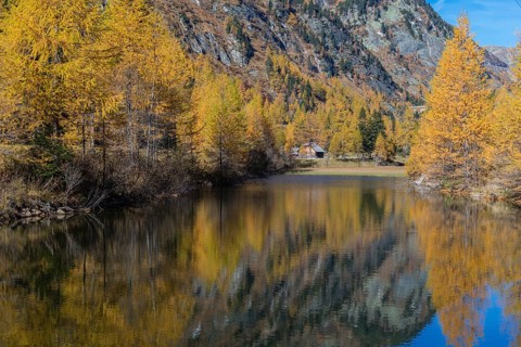 Fall foliage seen from the Malta Hochalm road. Carithia, Austria, Europe