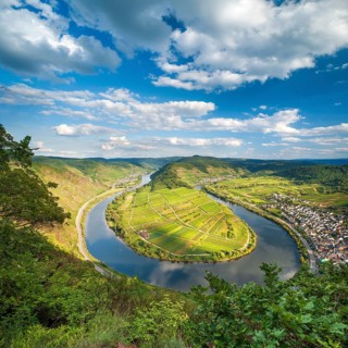 View of the Moselle bend at Bremmer Calmont, Bremm, Moselle valley, Rhineland-Palatinate, Germany,