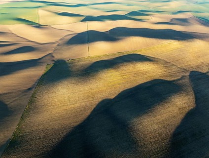 Farmland in the Campiña Cordobesa, the fertile rural area south of the town of Córdoba. Aerial view