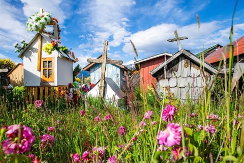 Colourful flowers and graves with miniature houses made of corrugated iron and wooden shingles at
