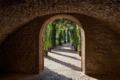 Passage through medieval town wall, vaults of the Bienenmarkt Passage, outside pergola with