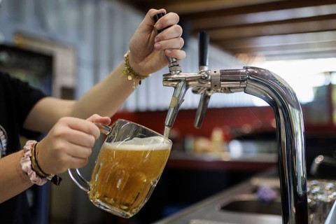 Symbol photo on the subject of serving beer. A woman taps a draught beer in a cafe in Berlin,