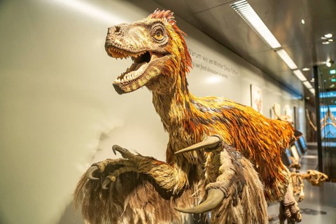 Dinosaur model, Natural History Museum Vienna, Austria, iEurope, Europe