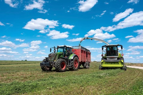Combine harvester and tractor with trailer harvesting green fodder under a blue sky with cumulus