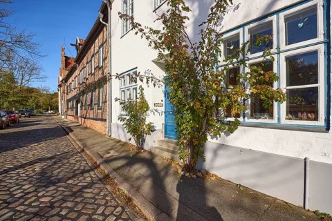 Entrance area of a historic house with evergreen rose (Rosa sempervirens), street An der Obertrave,