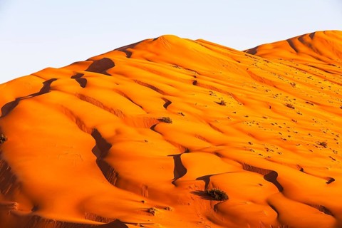 Wind-sculpted curved sand dunes in the evening light, in the Rub al Khali desert, Dhofar province,